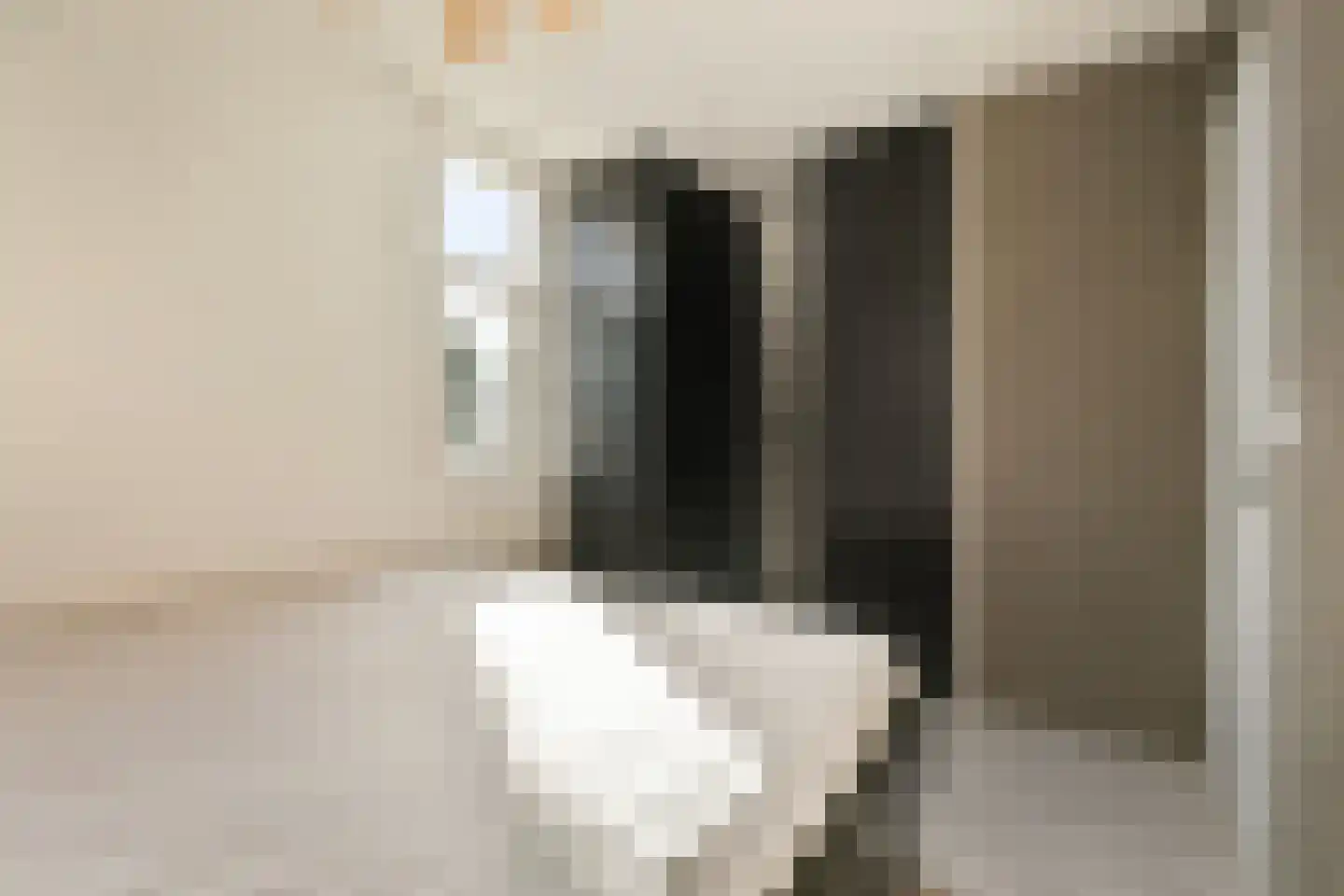 Adriaan Roggestraat 5 Zaandam thumbnail 17