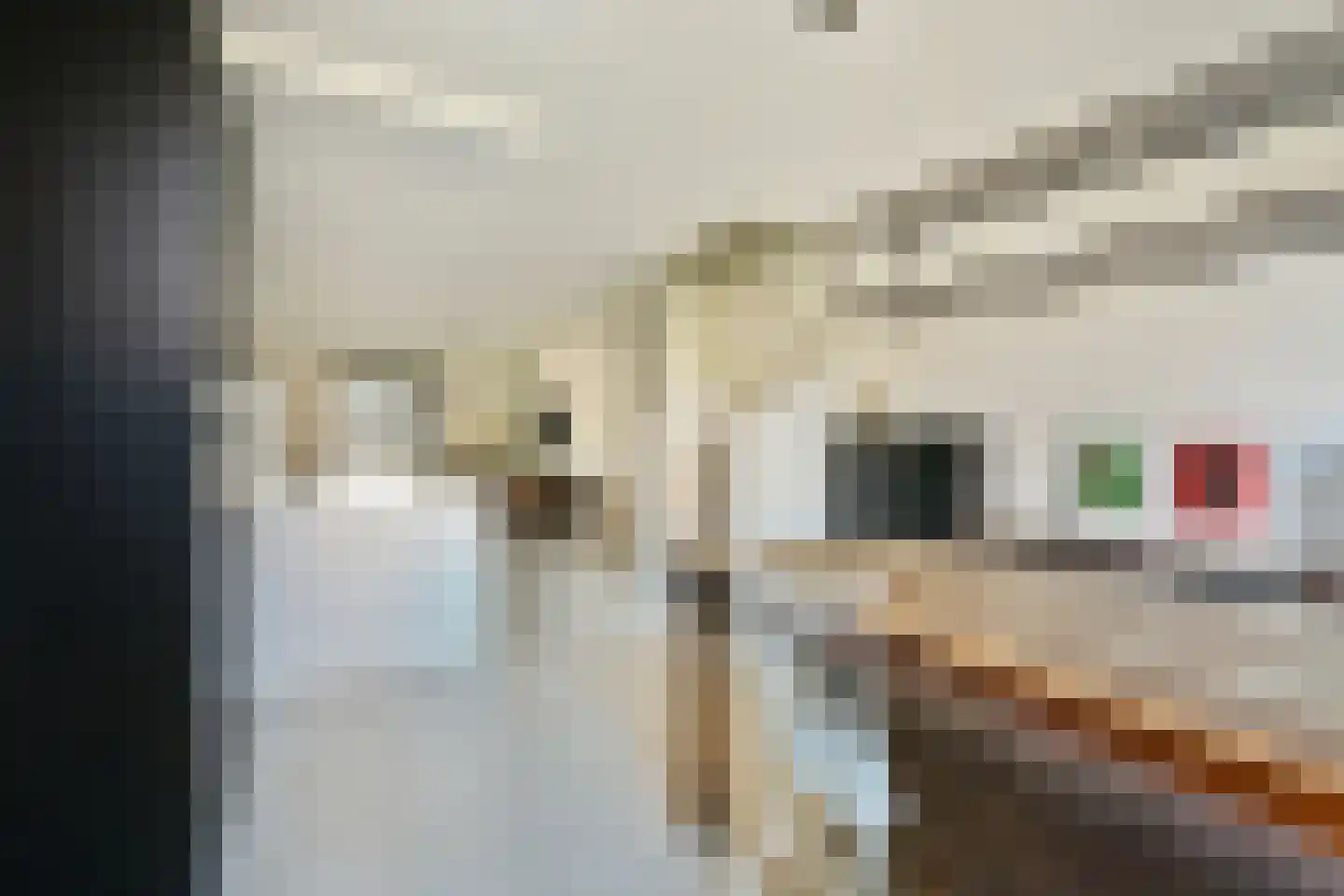 Adriaan Roggestraat 5 Zaandam thumbnail 5