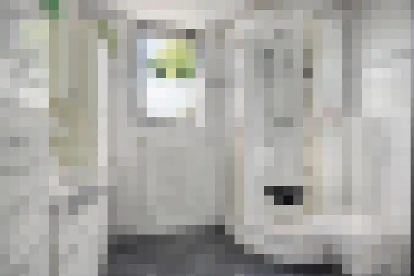 Adriaan Roland Holststraat 14 Rotterdam thumbnail 21