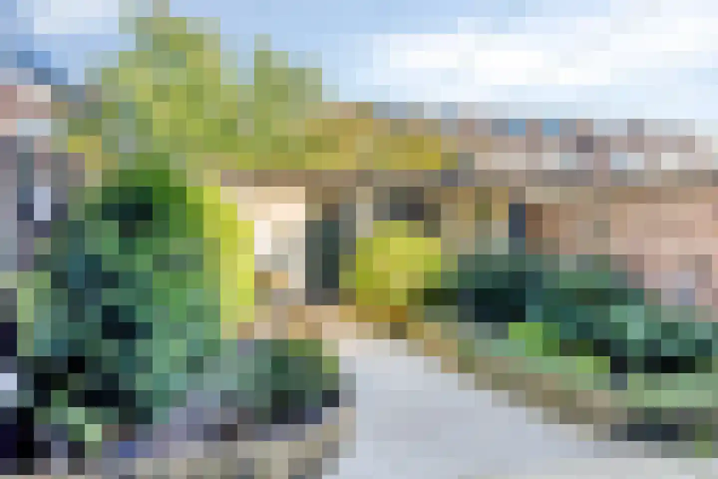 Adriaan Roland Holststraat 14 Rotterdam thumbnail 32