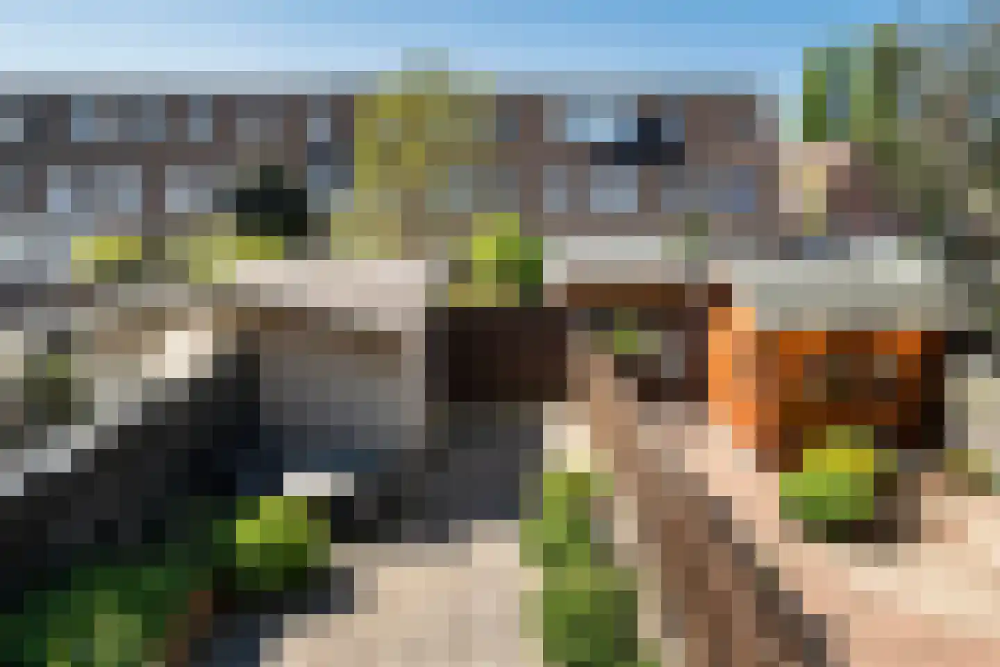 Adriaan Roland Holststraat 25 Rotterdam thumbnail 23