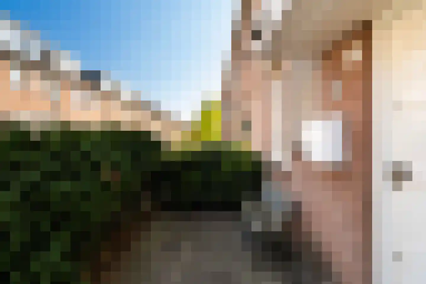 Adriaan Roland Holststraat 25 Rotterdam thumbnail 6