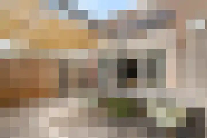 Adriaan Roland Holststraat 52 Rotterdam thumbnail 4