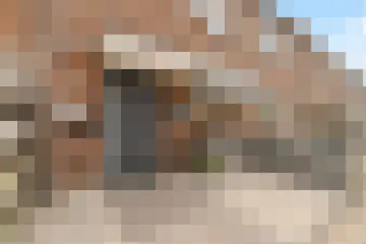 Adriaan Roland Holststraat 52 Rotterdam thumbnail 5