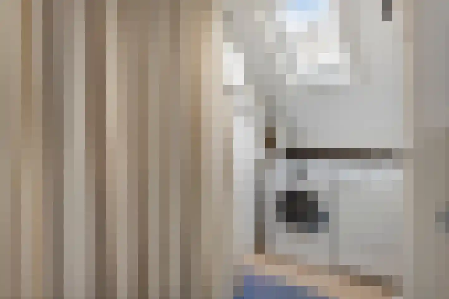 Adriaan Schuurmanlaan 27 Oegstgeest thumbnail 31