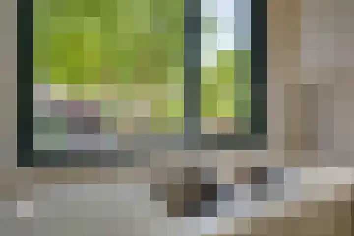 Adriaan Schuurmanlaan 9 Oegstgeest thumbnail 13