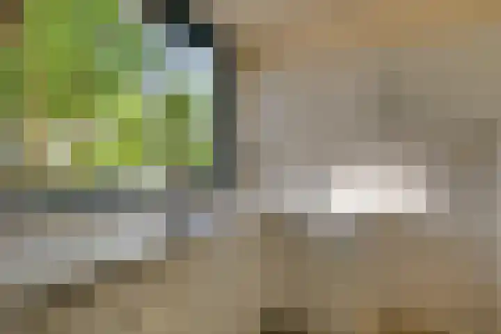 Adriaan Schuurmanlaan 9 Oegstgeest thumbnail 14