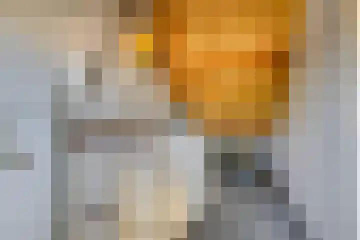 Adriaan Schuurmanlaan 9 Oegstgeest thumbnail 32
