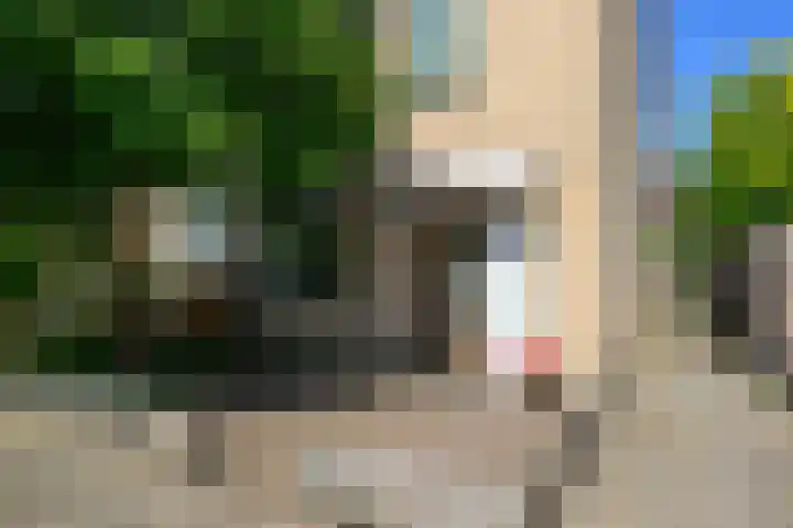 Adriaan Schuurmanlaan 9 Oegstgeest thumbnail 4