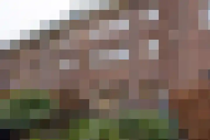 Adriaan Stooplaan 17 Overveen thumbnail 11