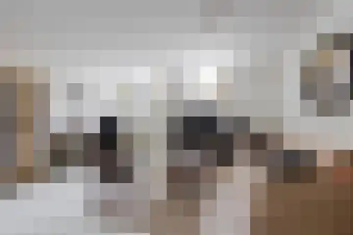 Adriaan Stooplaan 17 Overveen thumbnail 21