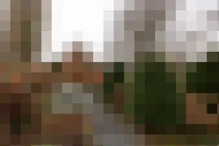 Adriaan Stooplaan 17 Overveen thumbnail 32