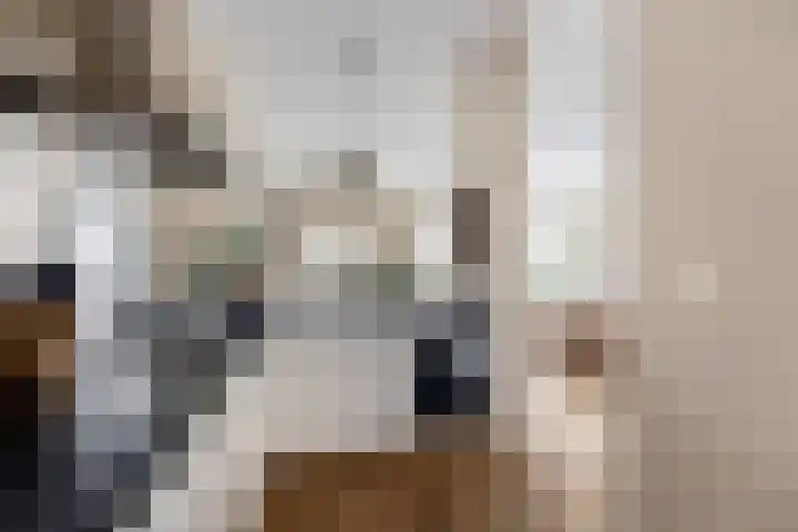 Adriaan Stooplaan 17 Overveen thumbnail 7