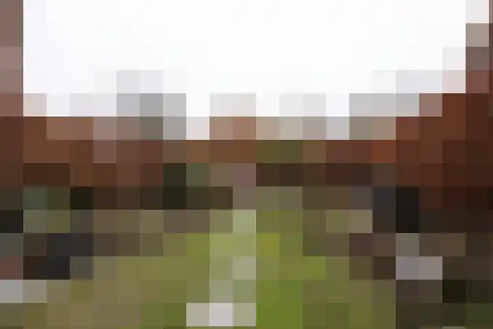 Adriaan Stooplaan 17 Overveen thumbnail 8