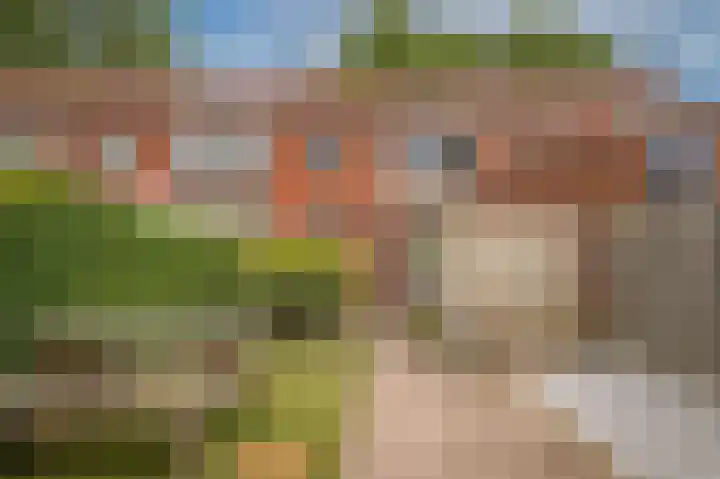 Adriaan van Alkmaarstraat 3 Woudrichem thumbnail 20