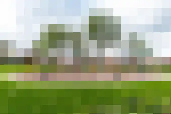 Adriaan van Alkmaarstraat 3 Woudrichem thumbnail 27