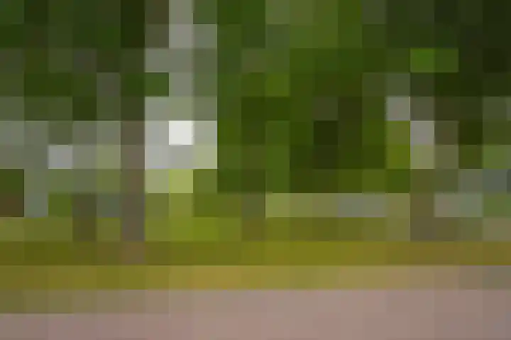 Adriaan van Alkmaarstraat 3 Woudrichem thumbnail 30