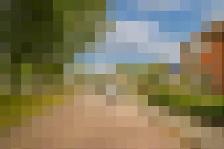 Adriaan van Alkmaarstraat 3 Woudrichem thumbnail 31