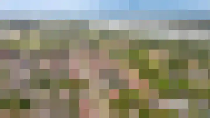 Adriaan van Alkmaarstraat 3 Woudrichem thumbnail 33