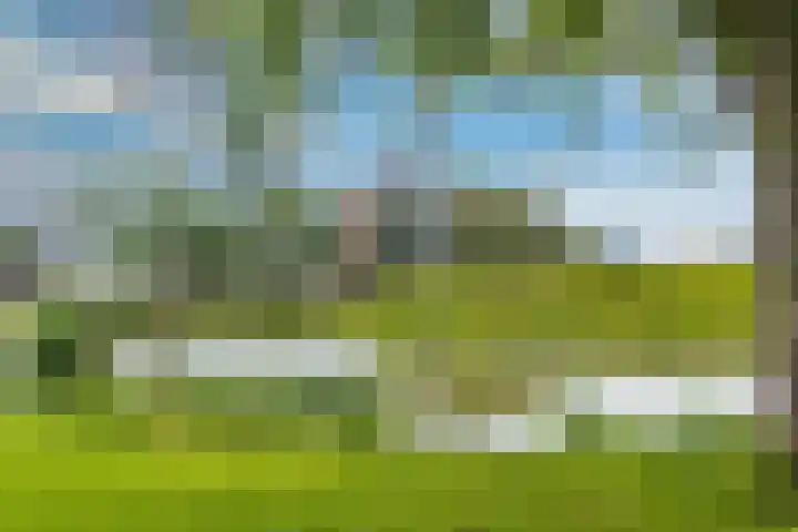 Adriaan van Alkmaarstraat 3 Woudrichem thumbnail 35