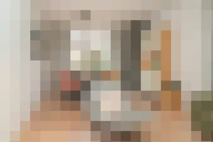 Adriaan van Alkmaarstraat 3 Woudrichem thumbnail 4