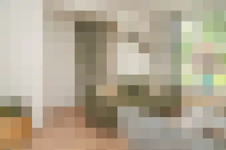 Adriaan van Alkmaarstraat 3 Woudrichem thumbnail 5