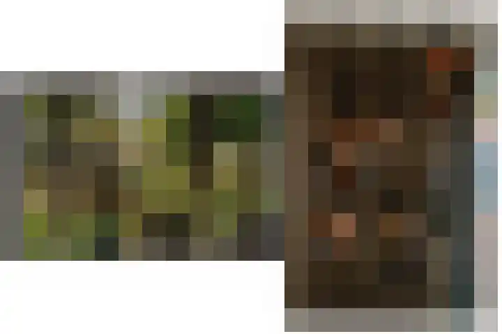 Adriaan van Alkmaarstraat 3 Woudrichem thumbnail 6