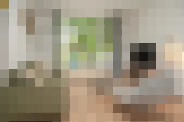 Adriaan van Alkmaarstraat 3 Woudrichem thumbnail 7