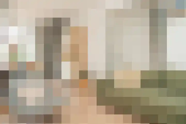 Adriaan van Alkmaarstraat 3 Woudrichem thumbnail 8