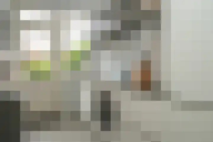 Adriaan van Alkmaarstraat 3 Woudrichem thumbnail 9