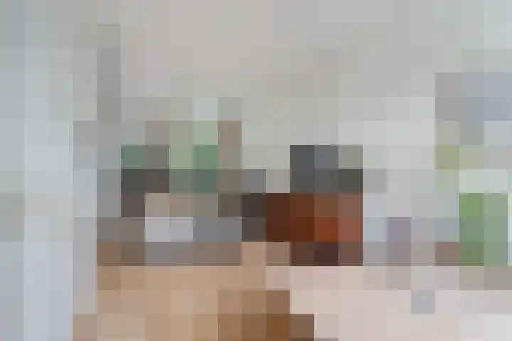 Adriaan van Altenastraat 19 Dordrecht thumbnail 11