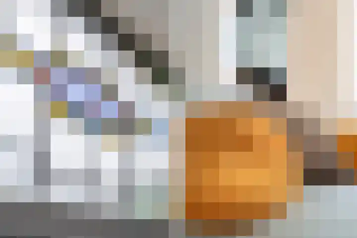 Adriaan van Altenastraat 19 Dordrecht thumbnail 13