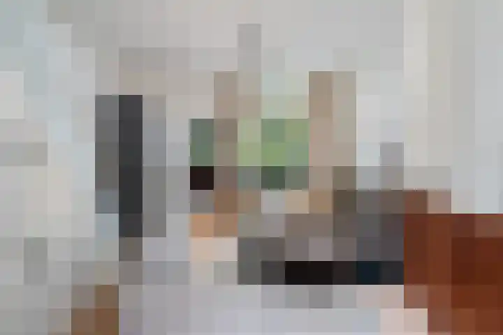 Adriaan van Altenastraat 19 Dordrecht thumbnail 14
