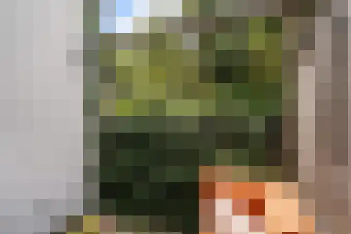 Adriaan van Altenastraat 19 Dordrecht thumbnail 23