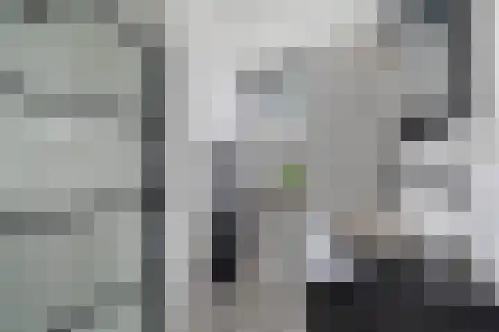 Adriaan van Altenastraat 19 Dordrecht thumbnail 5