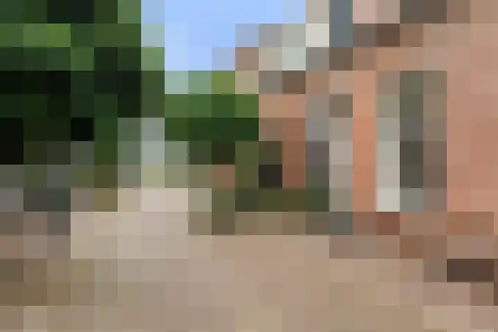 Adriaan van Altenastraat 19 Dordrecht thumbnail 6