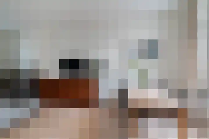 Adriaan van Altenastraat 19 Dordrecht thumbnail 9