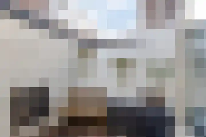 Adriaan van Altenastraat 28 Dordrecht thumbnail 16
