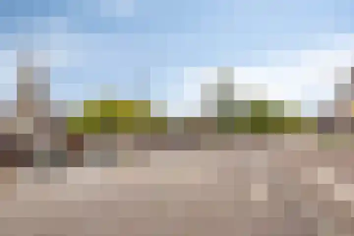 Adriaan van Bergenstraat 112 Breda thumbnail 22