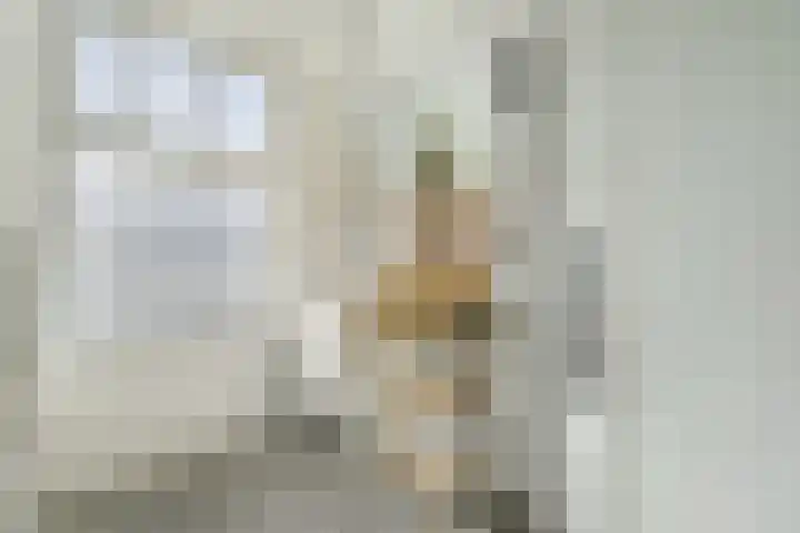 Adriaan van Bergenstraat 2 3 Amsterdam thumbnail 14