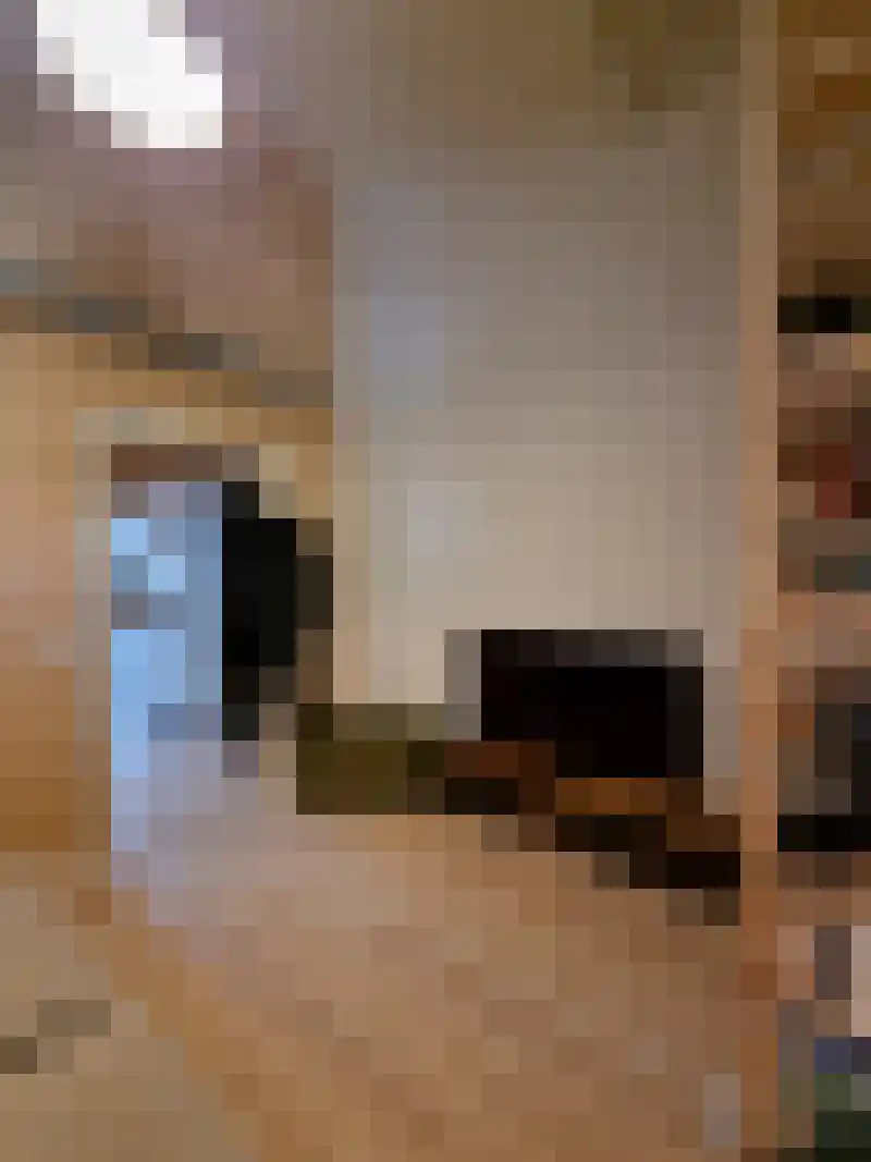 Adriaan van Bergenstraat 222 Breda thumbnail 12
