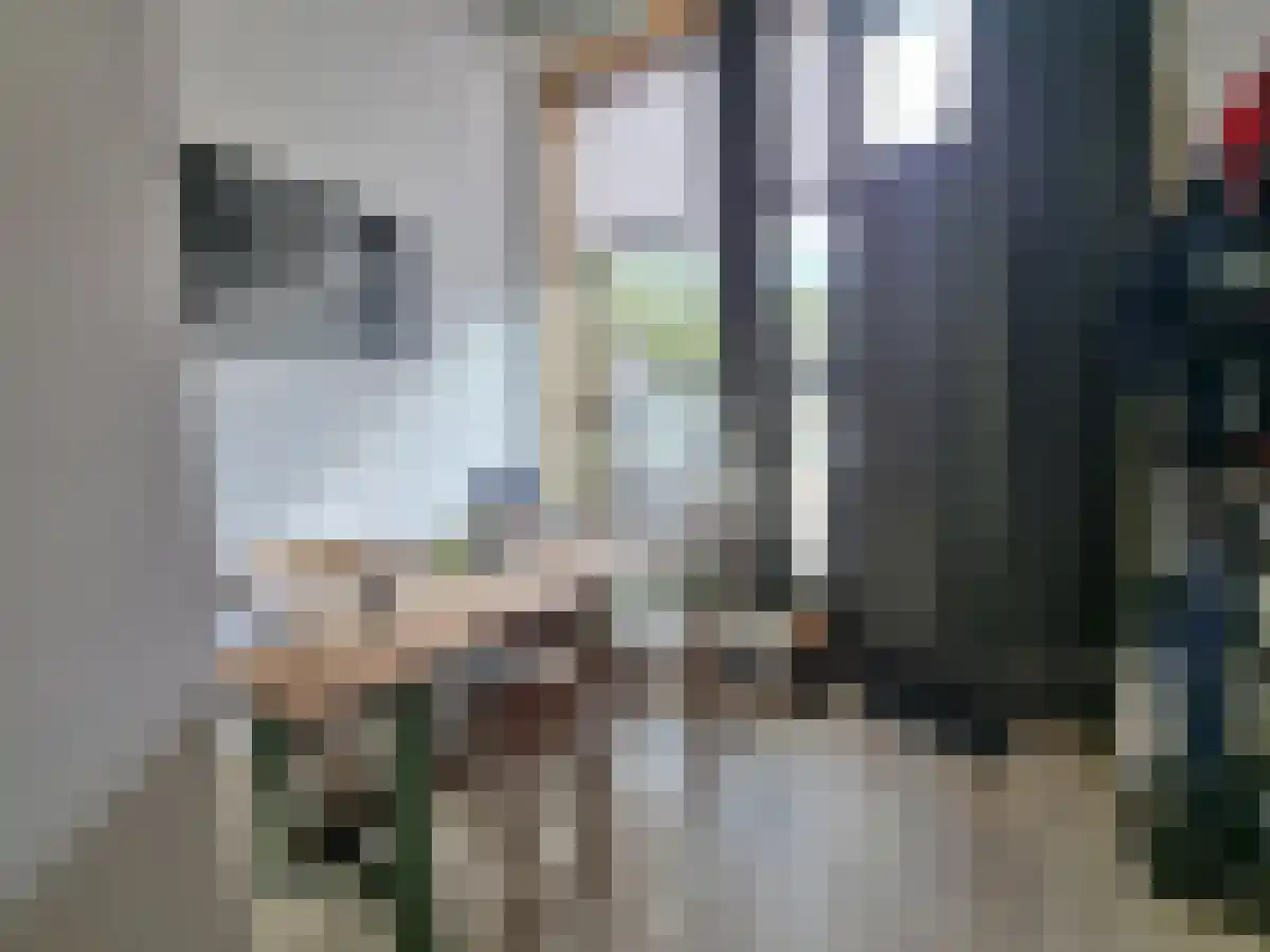 Adriaan van Bergenstraat 222 Breda thumbnail 4