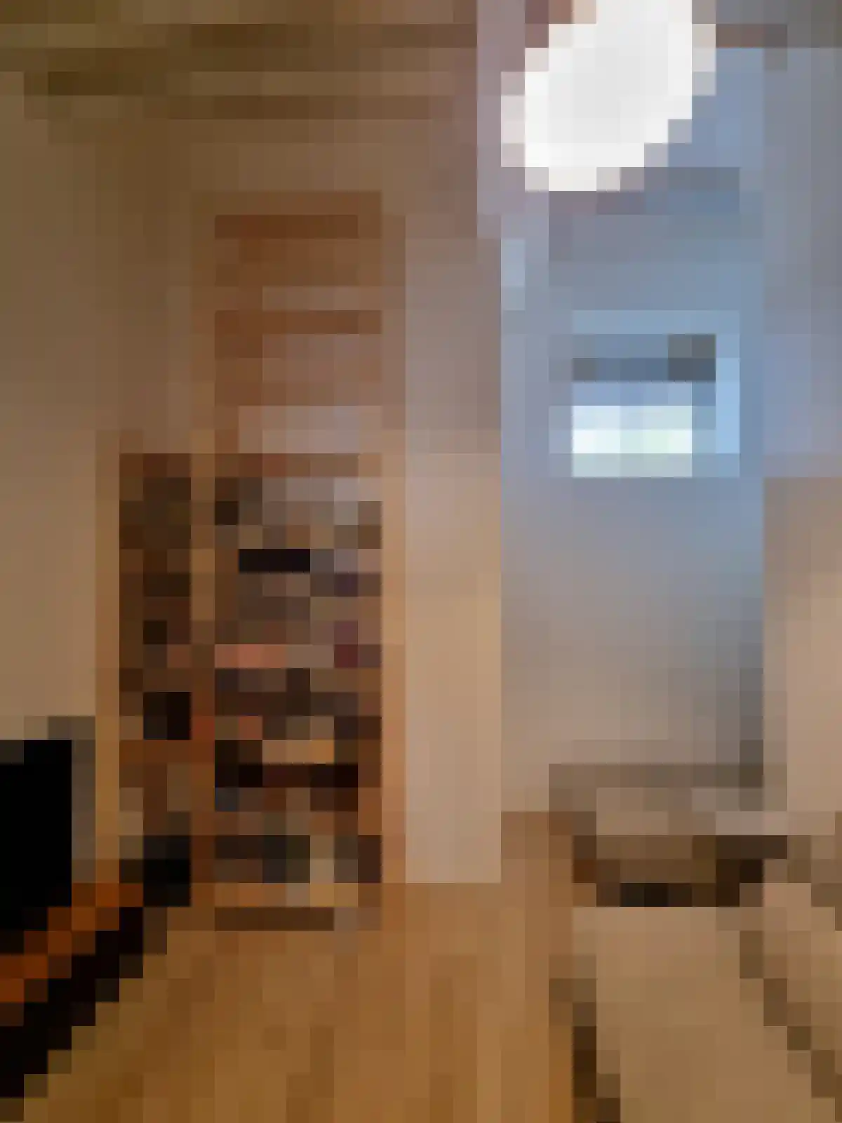 Adriaan van Bergenstraat 222 Breda thumbnail 7