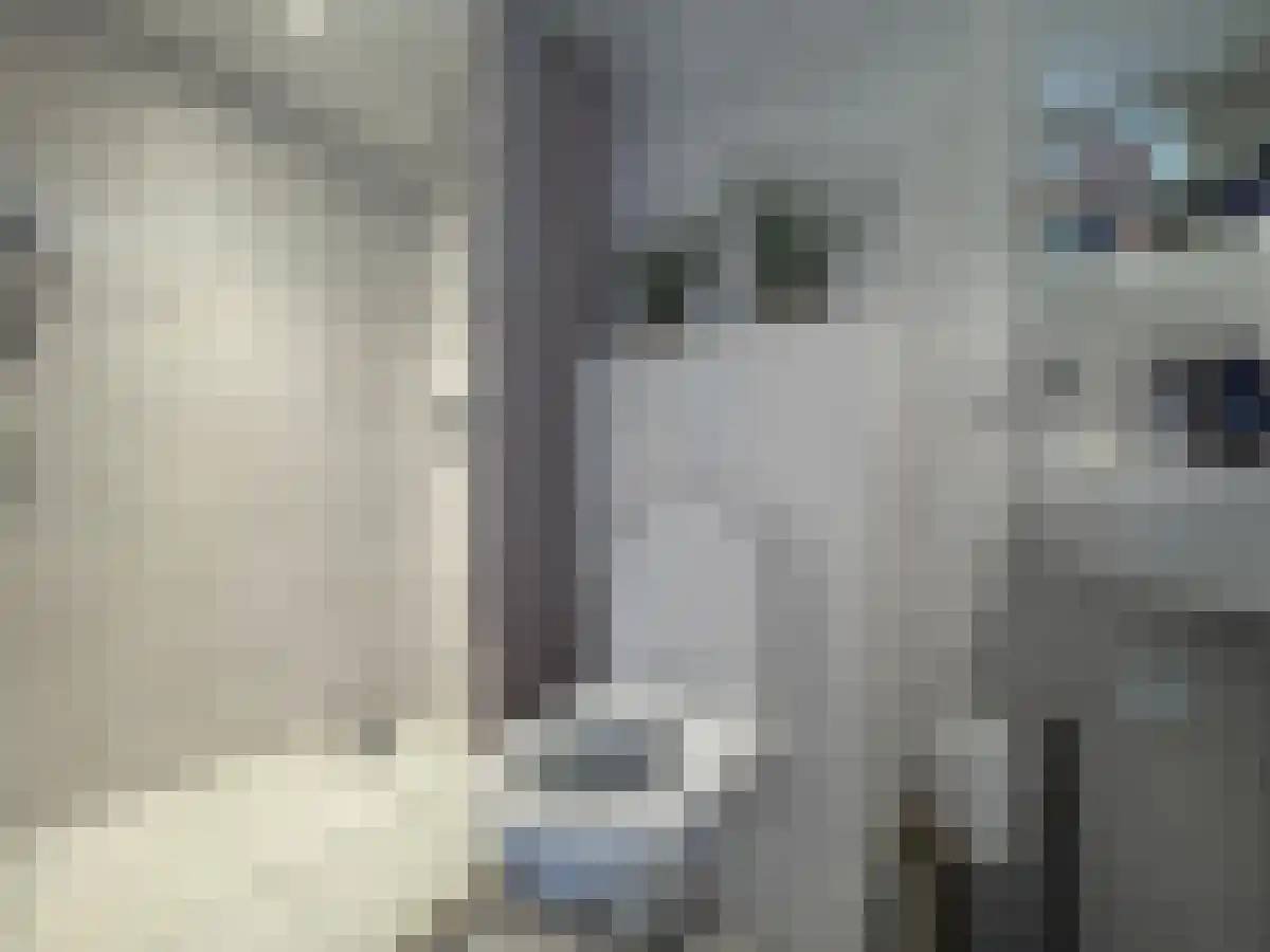 Adriaan van Bergenstraat 226 A Breda thumbnail 6