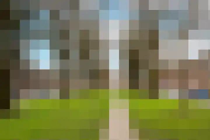 Adriaan van Bergenstraat 23 Utrecht thumbnail 36