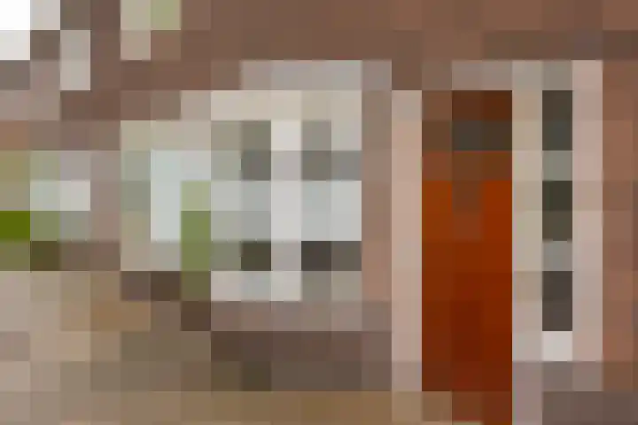 Adriaan van Bergenstraat 23 Utrecht thumbnail 5