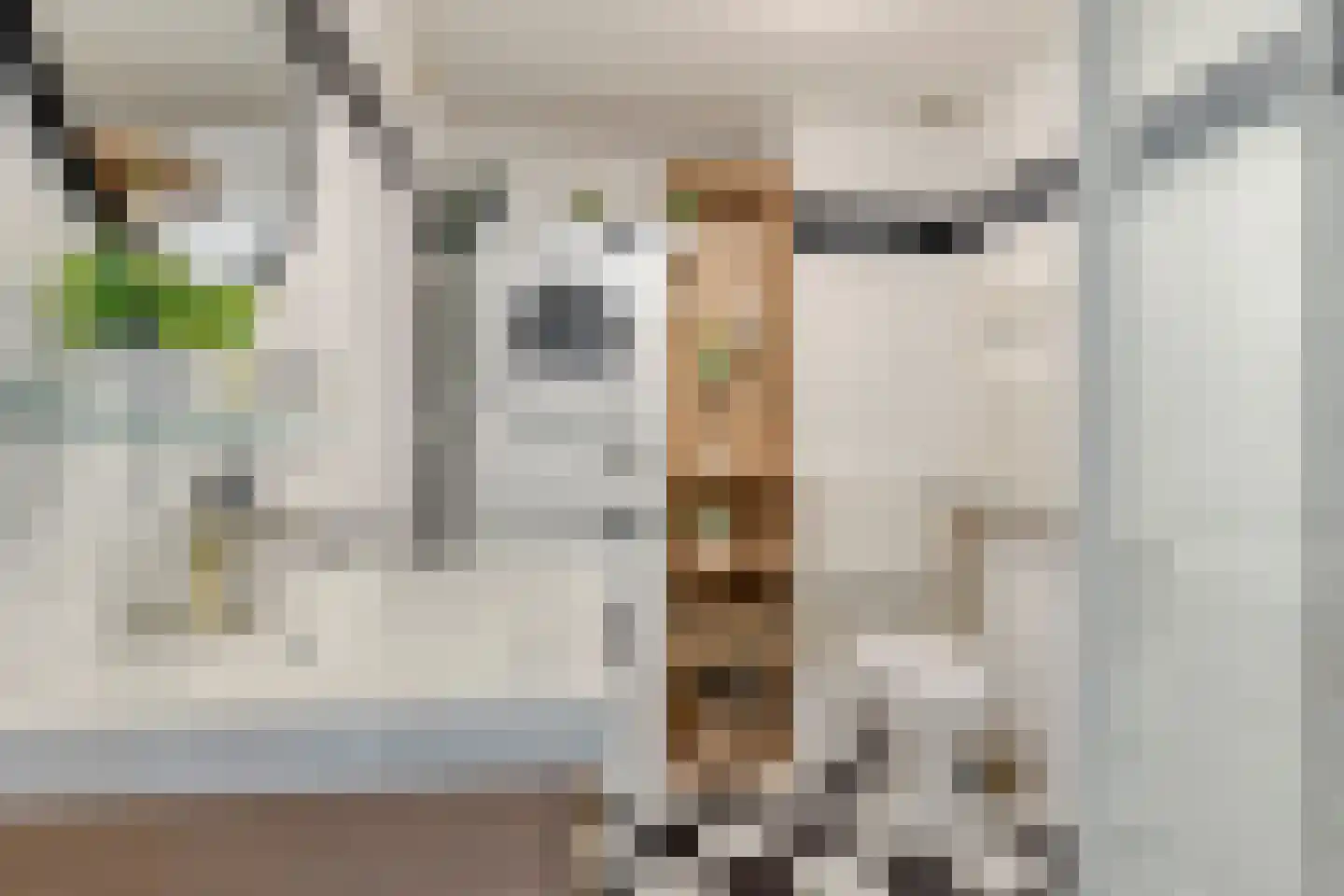 Adriaan van Bergenstraat 236 Breda thumbnail 11