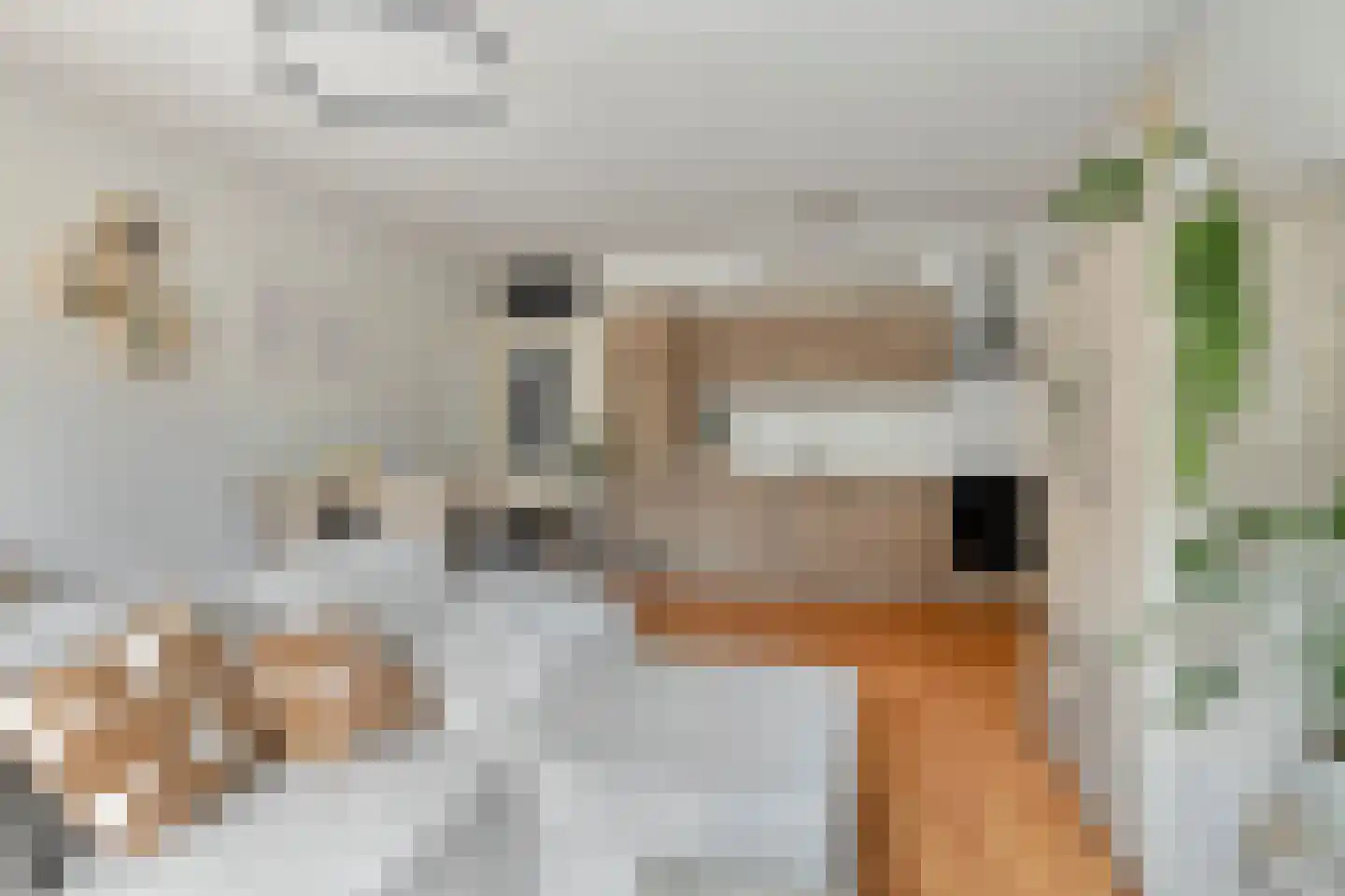 Adriaan van Bergenstraat 236 Breda thumbnail 4