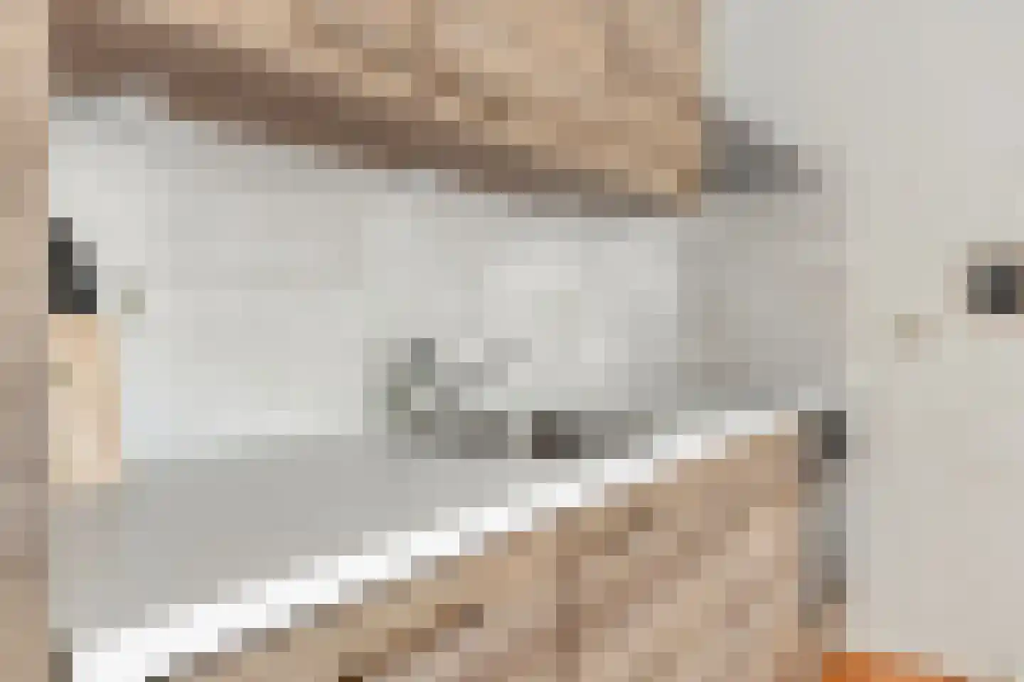 Adriaan van Bergenstraat 236 Breda thumbnail 6