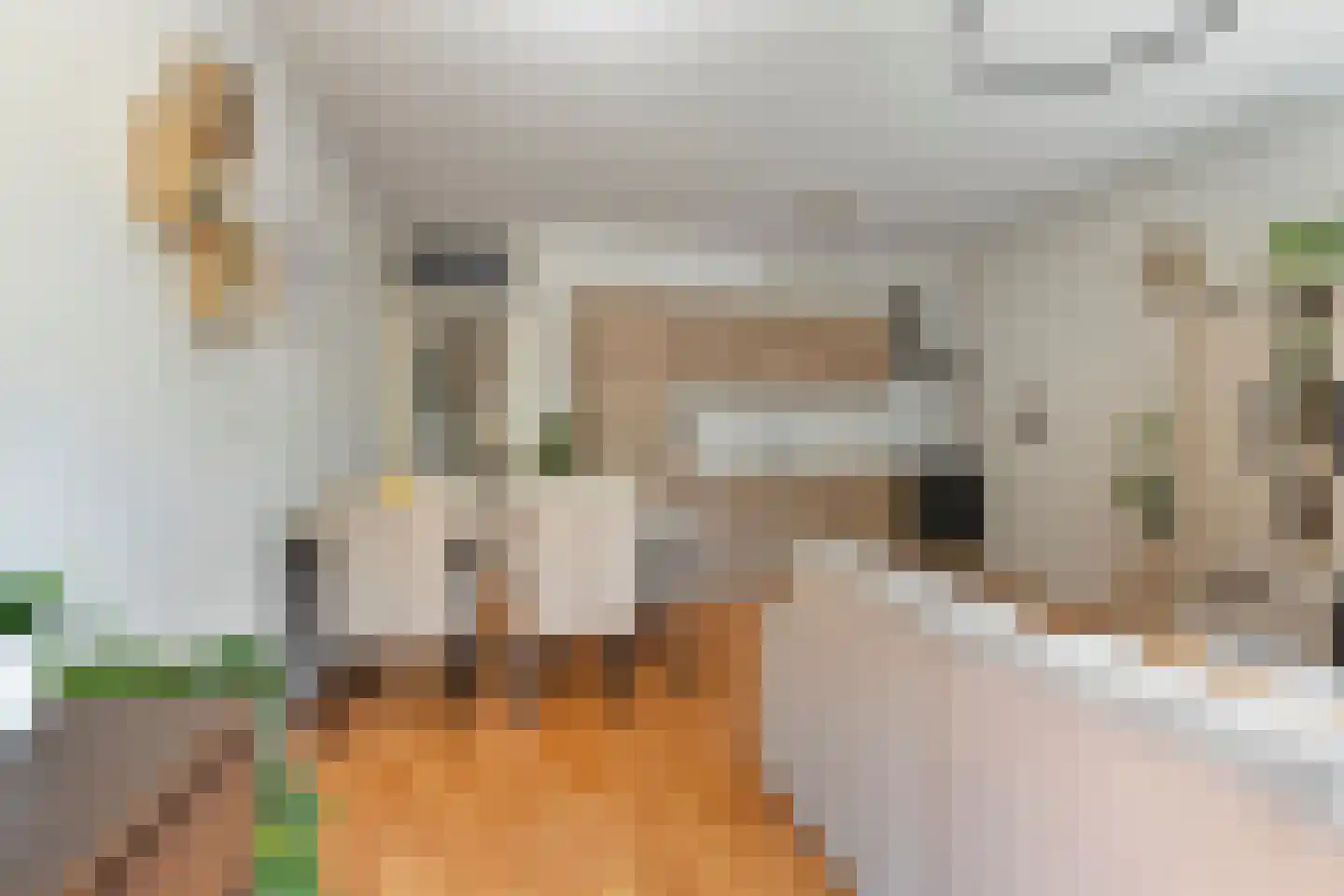Adriaan van Bergenstraat 236 Breda thumbnail 7